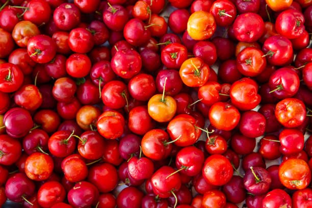 Acerola fruit in supporting our Health