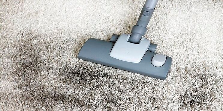 Financial Benefits of Professional Carpet Cleaning