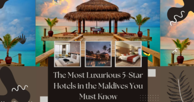 The Top Luxurious 5- Star hospices in the Maldives You Should Know 